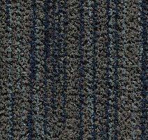 Грязезащитные покрытия Forbo Coral Brush 5767 slate blue фото 1 | FLOORDEALER